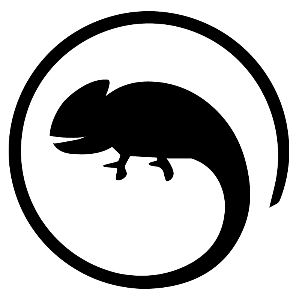 Hauke Pfützner